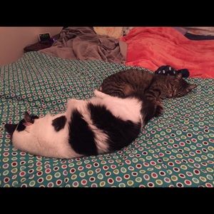 Meet your Posher, Amber